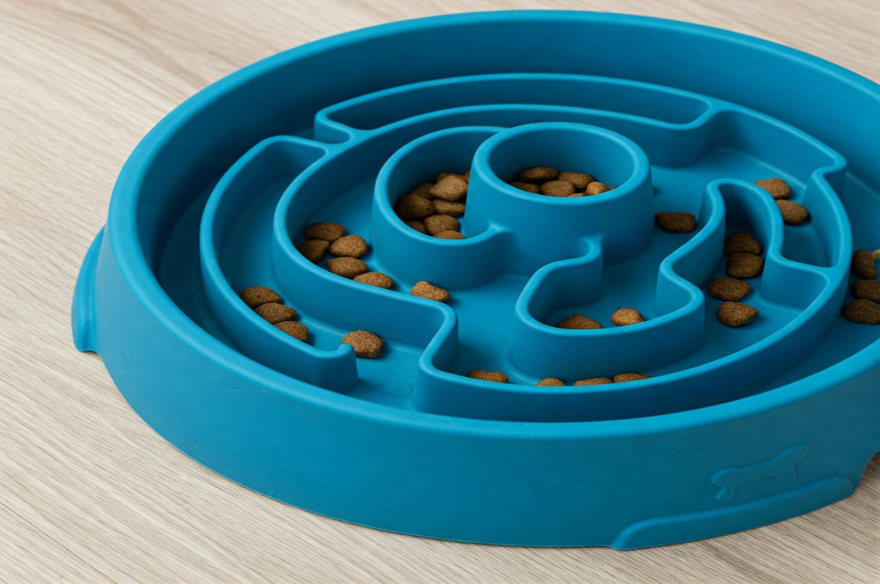 Placeholder: Close up of a slow feeder bowl with intricate patterns, making the dog work for its kibble.