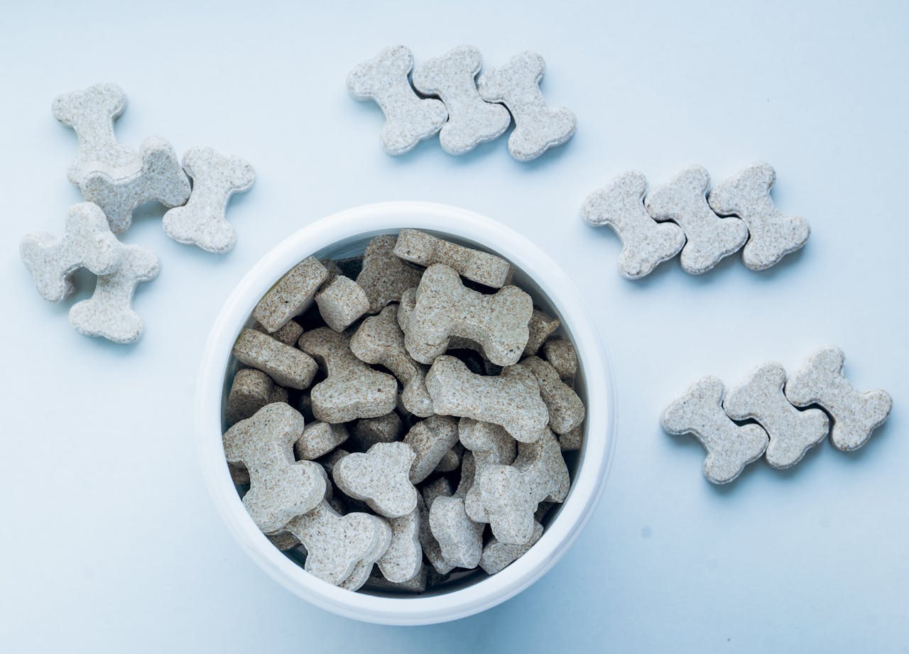 Beyond the Treat Pouch: How to Gradually Reduce Training Rewards preview